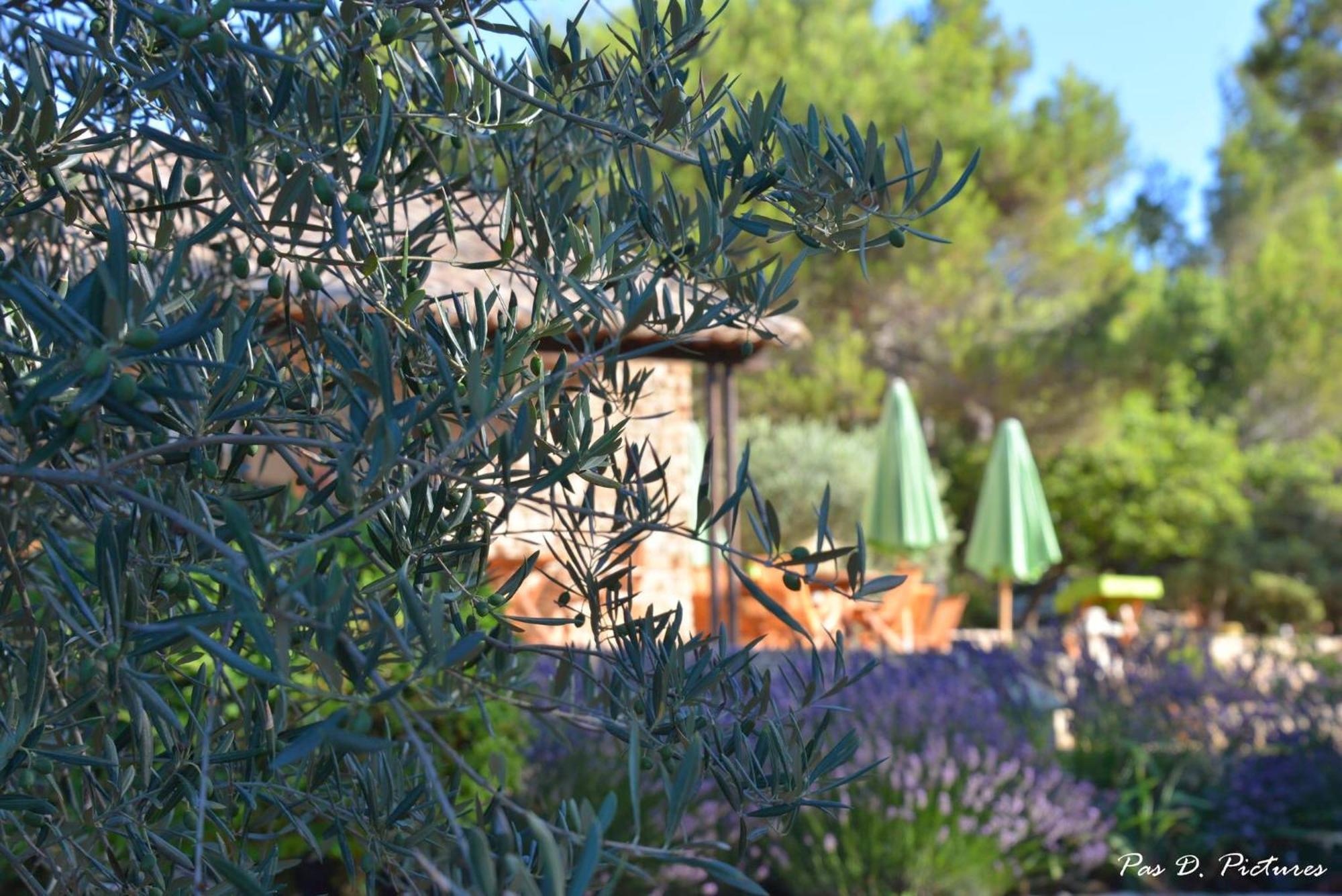 Le Jas De Joucas Hotel-Restaurant Exteriér fotografie